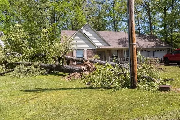 A tree knocked over in front of a house in need of emergency service